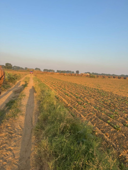  Residential Plot for Sale in Saini Pura, Charkhi Dadri