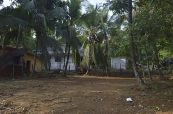  Residential Plot for Sale in Kulappully, Palakkad