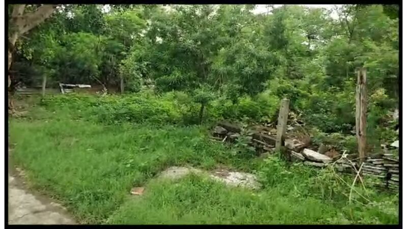  Residential Plot 2137 Sq.ft. for Sale in Shipra Vihar, Ujjain