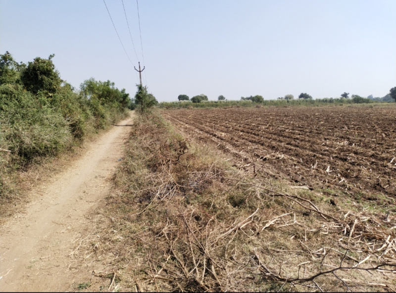 Agricultural Land 83 Guntha for Sale in Jhagadia Gidc, Bharuch