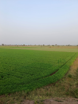  Agricultural Land for Sale in Kukrawad, Harda
