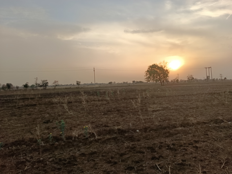  Agricultural Land 12 Acre for Sale in Sirali, Harda