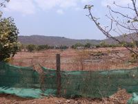  Agricultural Land for Sale in Bhiwandi, Thane