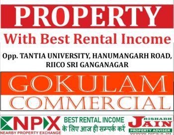  Commercial Land for Sale in Sangaria, Hanumangarh