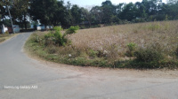  Agricultural Land for Sale in Gosainganj, Lucknow