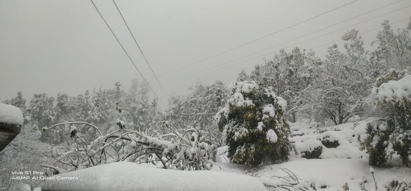 300 Sq.ft. Residential Plot for Sale in Dhanachuli, Nainital