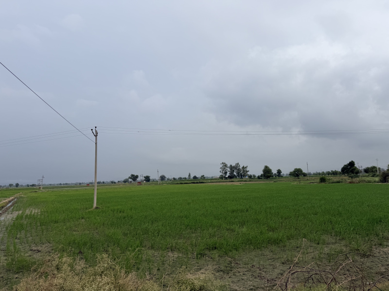 Gharaunda, Karnal photo 3