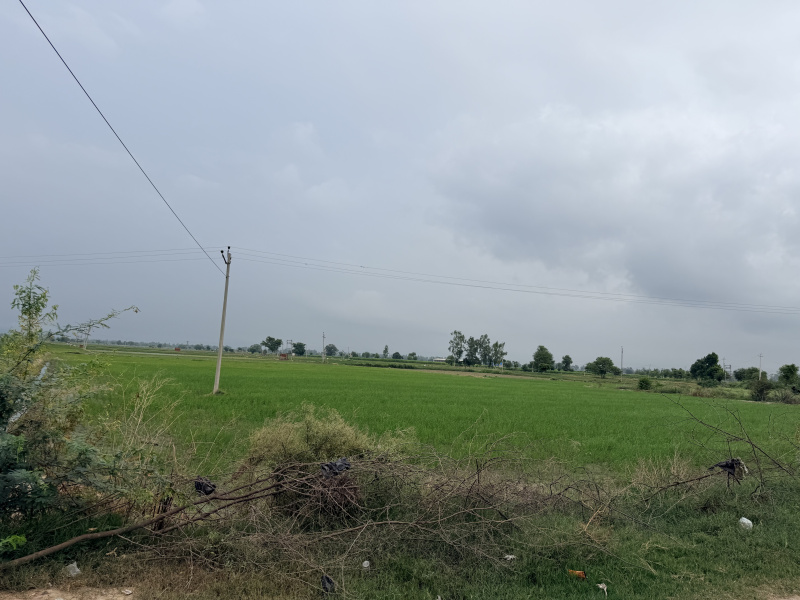 Gharaunda, Karnal photo 4