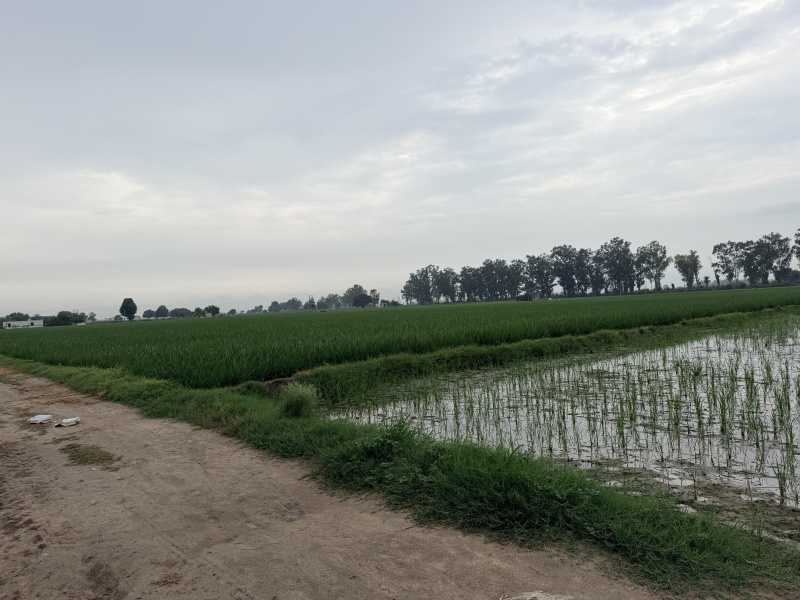 Gharaunda, Karnal photo 5