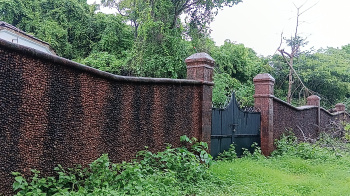  Residential Plot for Sale in Aldona, Goa