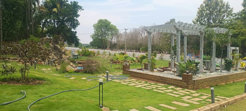  Agricultural Land 10890 Sq.ft. for Sale in Denkanikottai, Krishnagiri