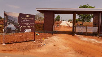  Agricultural Land for Sale in Thalli, Krishnagiri