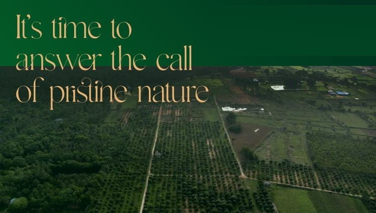  10000 Sq.ft. Agricultural/Farm Land for Sale in Denkanikottai, Krishnagiri