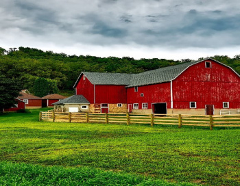  Farm House for Sale in Denkanikottai, Krishnagiri