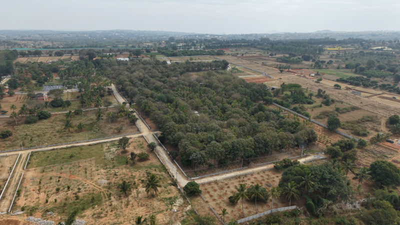  43560 Sq.ft. Farm House for Sale in Denkanikottai, Krishnagiri