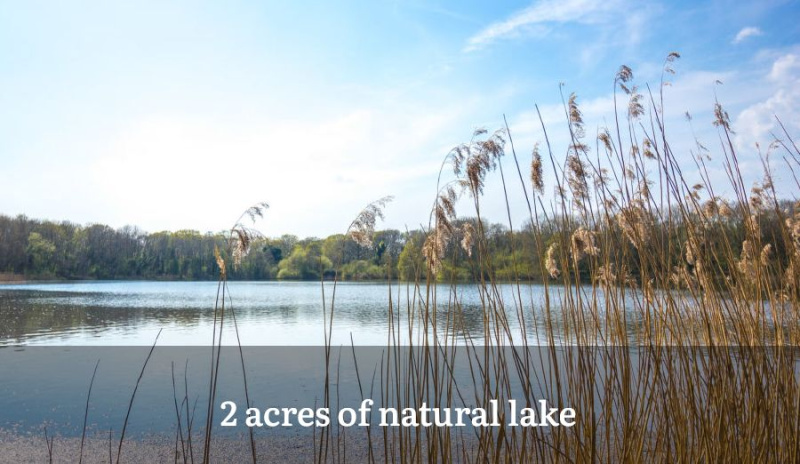  43560 Sq.ft. Agricultural/Farm Land for Sale in Denkanikottai, Krishnagiri