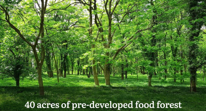  43560 Sq.ft. Agricultural/Farm Land for Sale in Denkanikottai, Krishnagiri