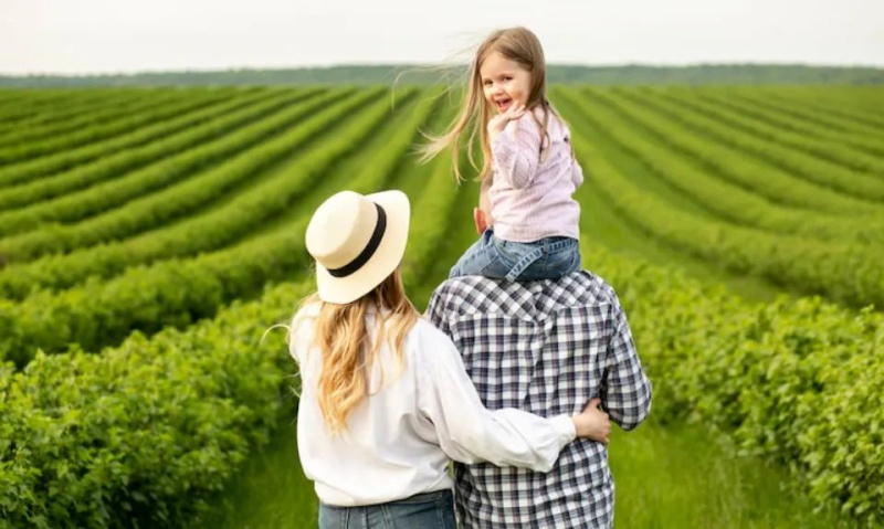  50000 Sq.ft. Agricultural/Farm Land for Sale in Denkanikottai, Krishnagiri