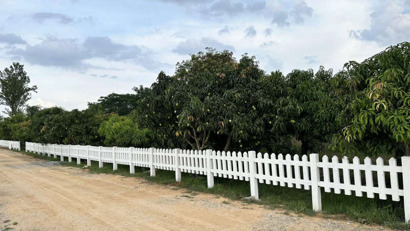  10000 Sq.ft. Agricultural/Farm Land for Sale in Denkanikottai, Krishnagiri