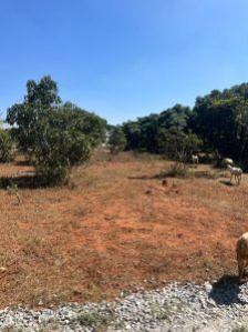  50000 Sq.ft. Residential Plot for Sale in Thalli, Krishnagiri