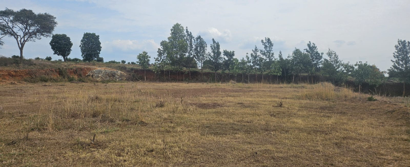 Denkanikottai, Krishnagiri photo 3