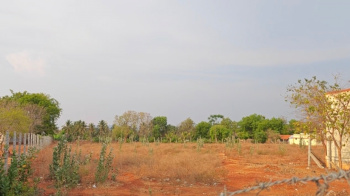  Agricultural Land for Sale in Narasimharaja Mohalla, Mysore