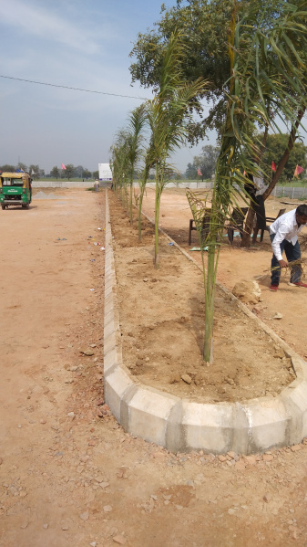 Residential Plot 165 Sq. Yards for Sale in Palwal, Faridabad