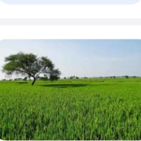  Industrial Land for Sale in Chhotapara, Raipur