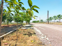  Residential Plot for Sale in Daldal Seoni, Raipur