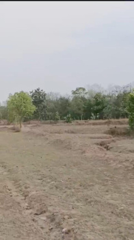  Agricultural Land for Sale in Basantpur, Rajnandgaon