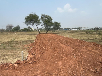  Agricultural Land for Sale in Tilda, Raipur