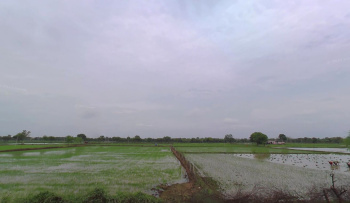  Agricultural Land for Sale in Bhilai, Durg