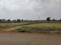  Industrial Land for Sale in Tilda, Raipur