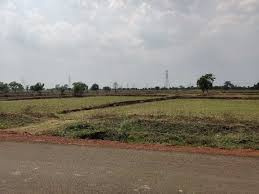  Industrial Land for Sale in Tilda, Raipur