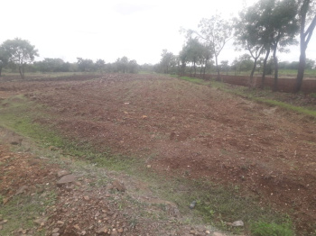  Industrial Land for Sale in Urla, Raipur