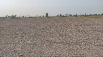  Agricultural Land for Sale in Chakarbhatha, Bilaspur