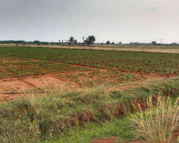  Agricultural Land for Sale in Nawagaon, Kanker