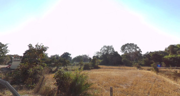  Agricultural Land for Sale in Uslapur, Bilaspur