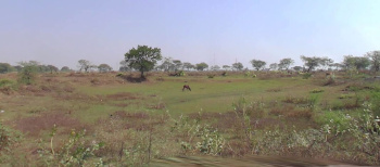  Agricultural Land for Sale in Champa, Janjgir-Champa