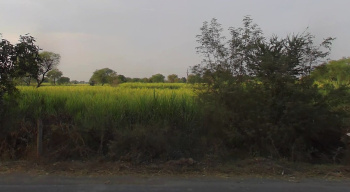  Agricultural Land for Sale in Pandariya, Kabirdham