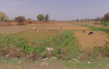  Agricultural Land for Sale in Baikunthpur, Koriya