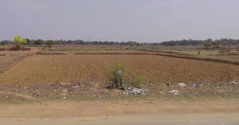  Agricultural Land for Sale in Vishrampur, Surajpur