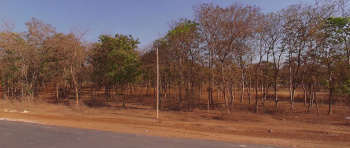  Agricultural Land for Sale in Ahiwara, Durg