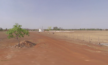  Agricultural Land for Sale in Tilda, Raipur