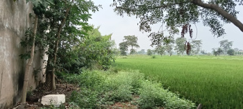  Industrial Land for Sale in Old Dhamtari Road, Raipur