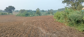  Agricultural Land for Sale in Nawagarh, Bemetara