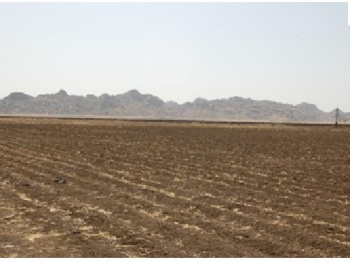  Agricultural Land for Sale in Baitalpur, Bilaspur