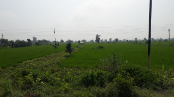  Agricultural Land for Sale in Pamgarh, Janjgir-Champa