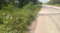  Residential Plot for Sale in Sarangarh, Raigarh