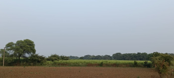  Agricultural Land for Sale in Nawagarh, Bemetara